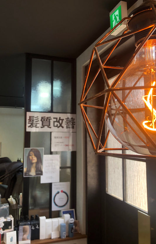 °˖✧美しさは、毛質構造から°˖✧